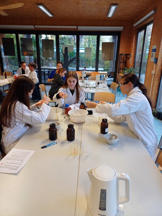 Vorschaubild Bericht „Unternehmungen des Wahlpflichtfachs Biologie 25/26“